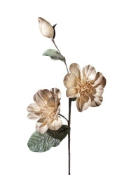 ΛΟΥΛΟΥΔΙ ΚΑΦΕ ΜΠΟΥΜΠΟΥΚΙΑ ZEN COLLECTION